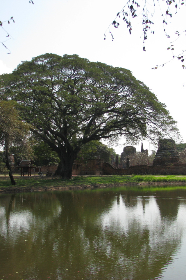 Пруд на курорте Аютайя, Таиланд