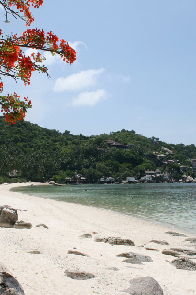 Песчаный пляж на острове Тао, Таиланд