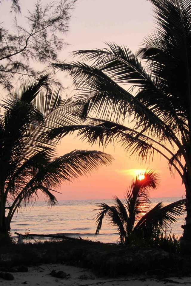 Закат среди пальм на острове Ко Куд, Таиланд