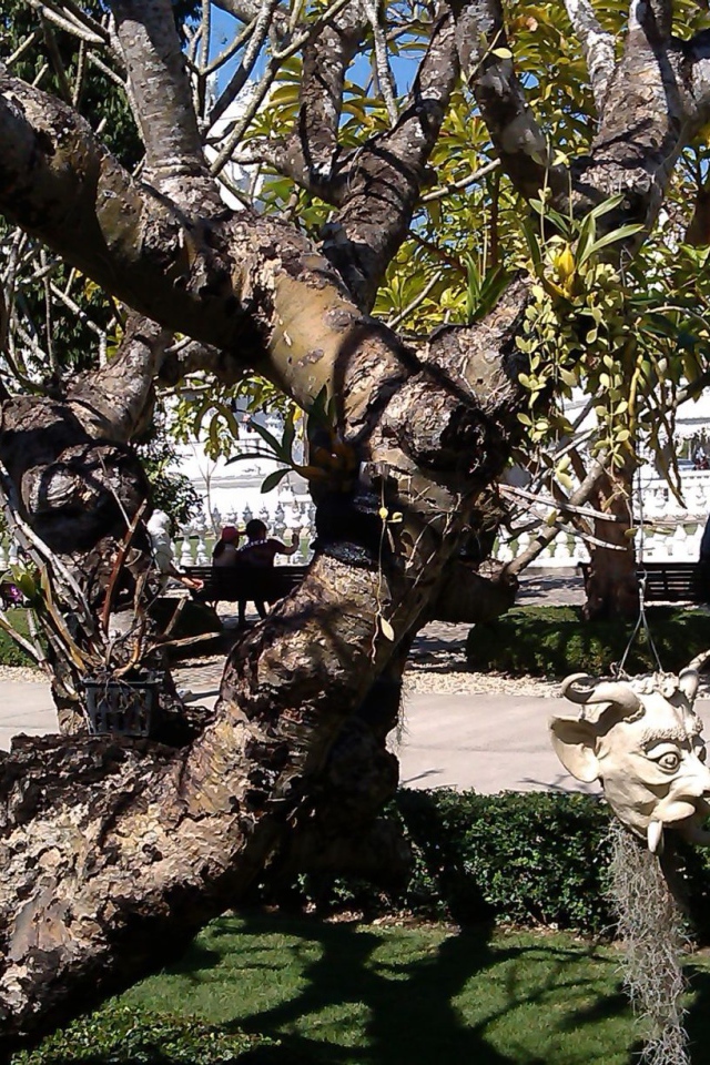 Дерево со скульптурами на курорте Чианг Рай, Таиланд