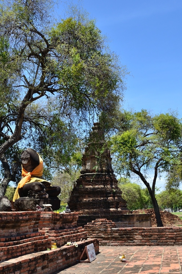 Деревья среди развалин храма на курорте Аютайя, Таиланд