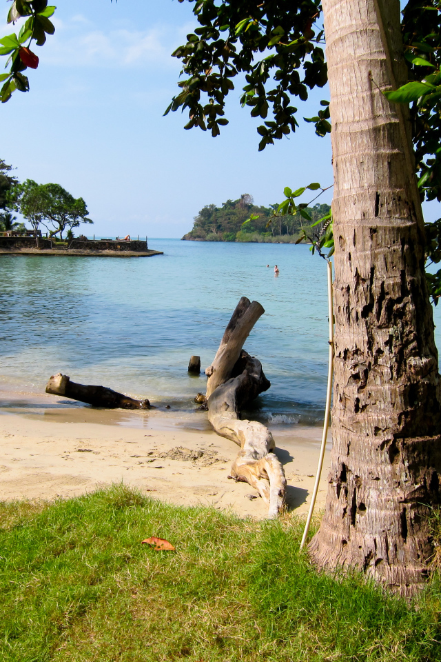 Деревья на пляже на курорте Районг, Таиланд