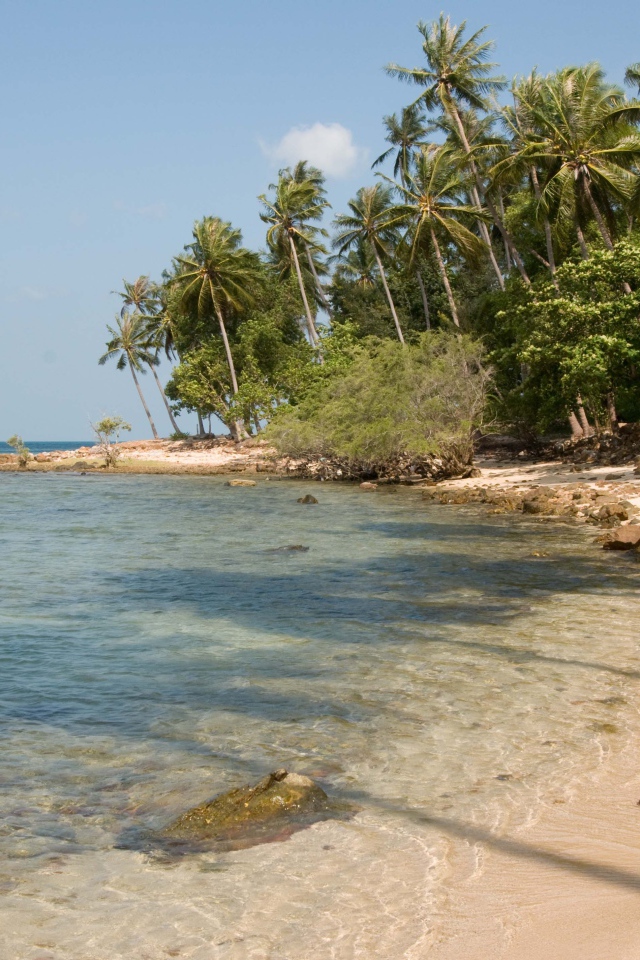 Дикий пляж на острове Панган, Таиланд