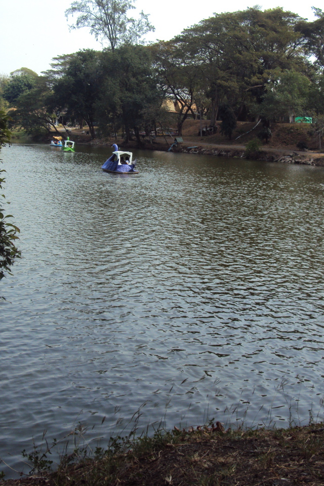 Зоопарк на курорте Лопбури, Таиланд