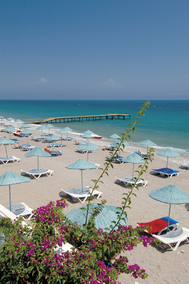 Цветущий пляж в Кушадасы, Турция