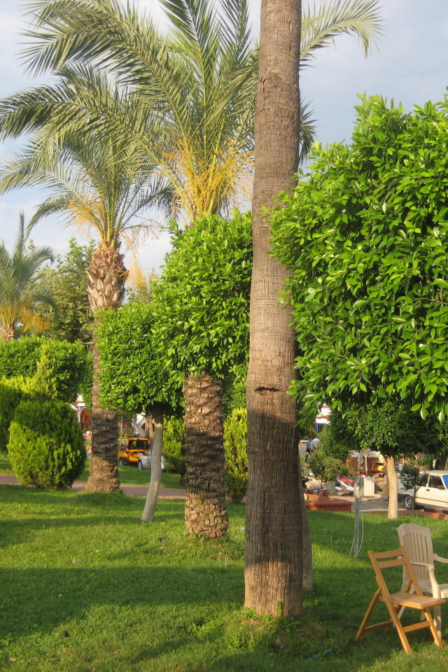 Великолепный парк в Кемере, Турция