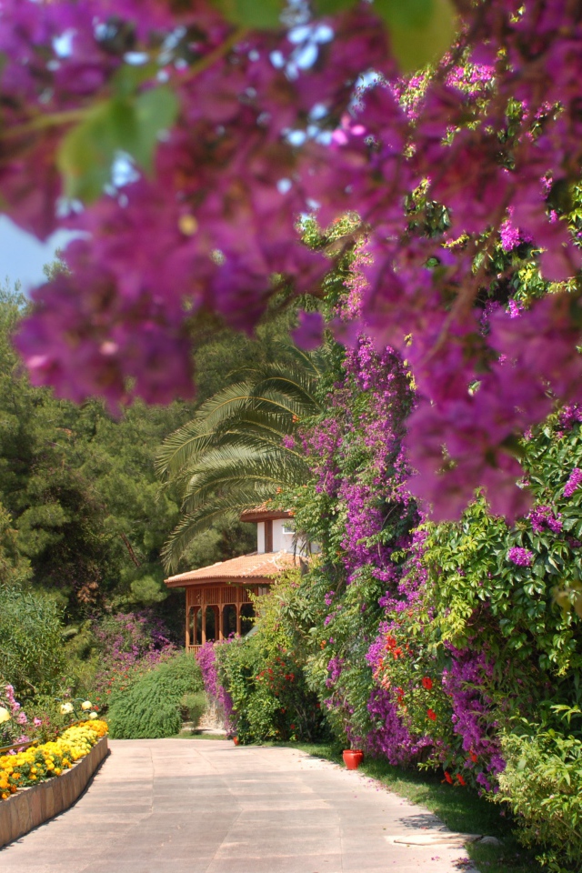 На курорте Фетхие, Турция