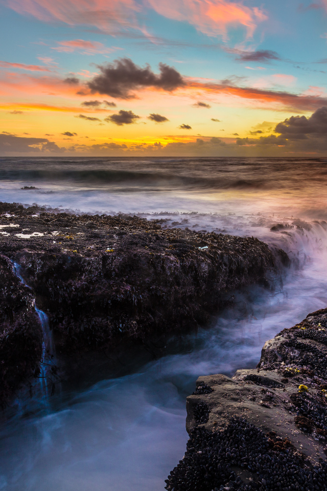 Парк штата Кейп Араго, США