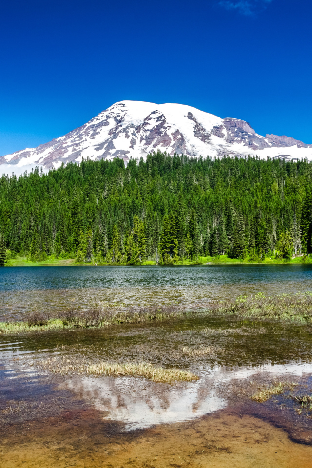 Национальный парк Маунт-Рейнир недалеко от Сиэтла, США