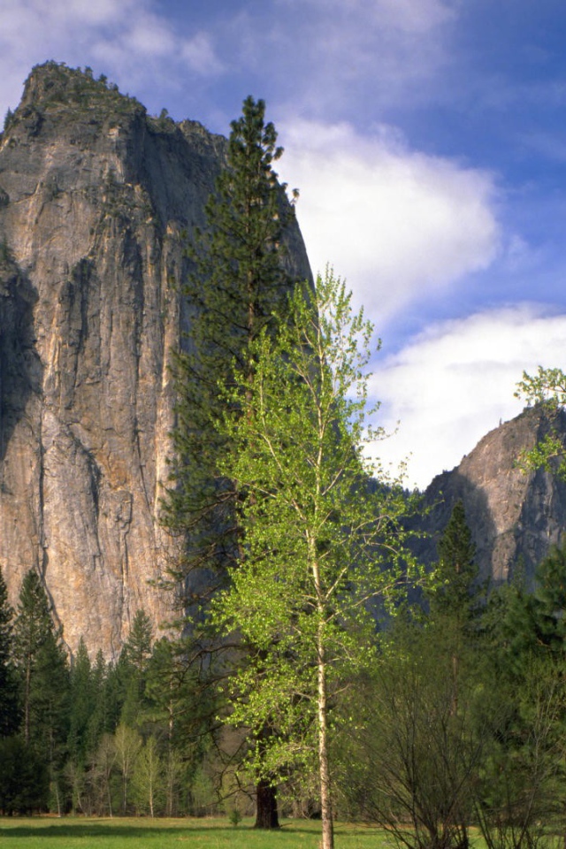 Национальный парк Калифорнии