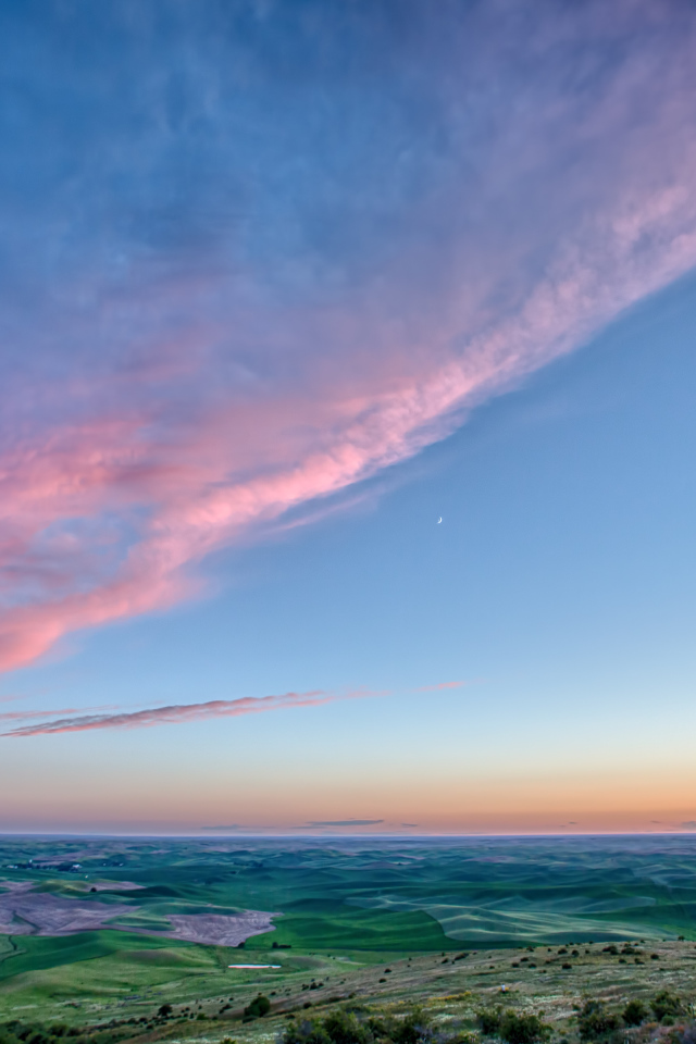 Природа вблизи Вашингтона