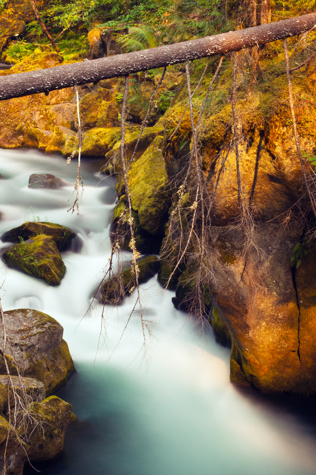 Река Северная Ампкуа, Орегон, США