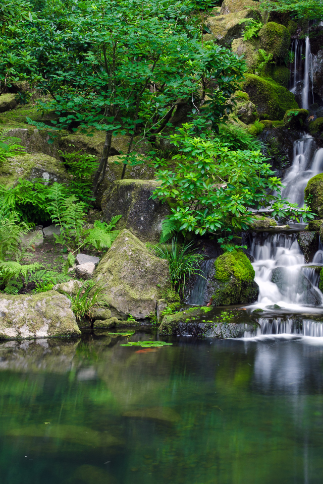 Портленд Джапанес Гарденс, Орегон, США