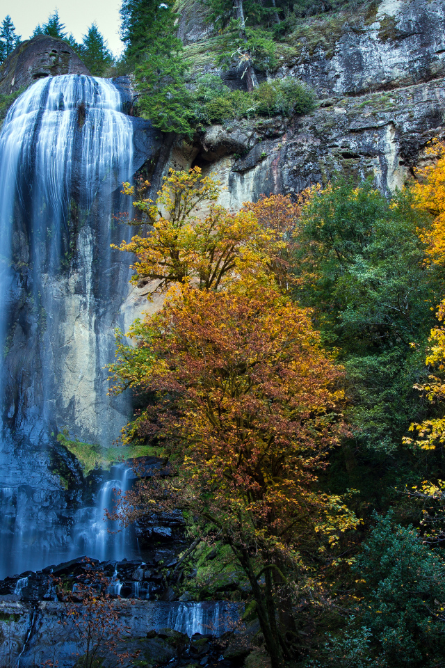 Парк Сильвер Фоллс, Западная Орегона, США