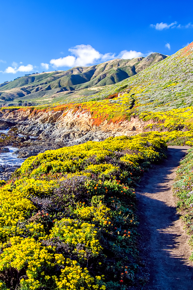 Красота природы в Калифорнии, США