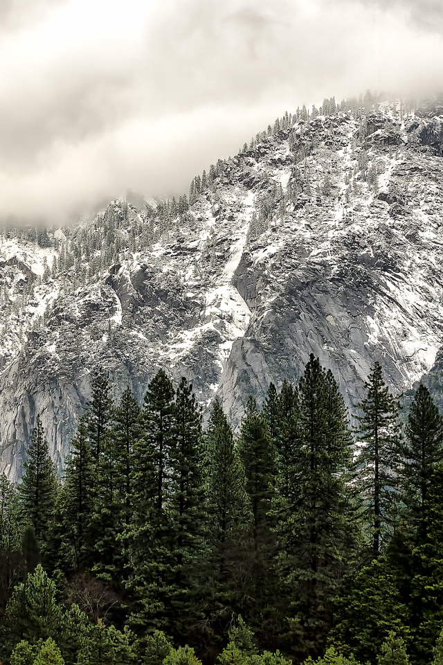 Национальный парк Йосемити, Калифорния, США