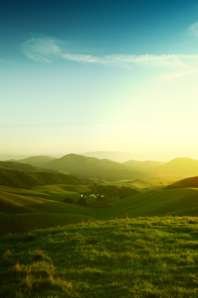 Калифорнийские холмы