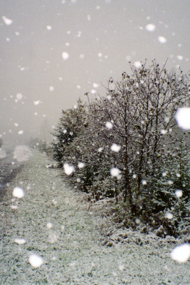 Поездка по зимнему Харькову