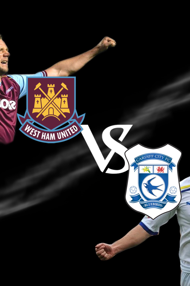 Потрясающий Футбольный клуб Кардифф Сити