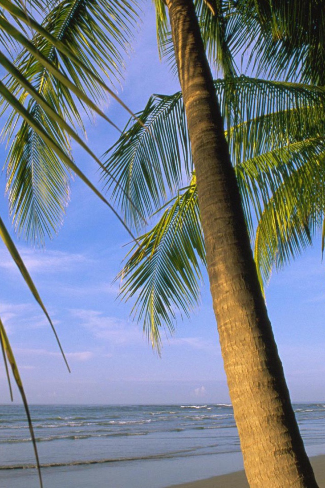 Потрясающая Погода Коста-Рика