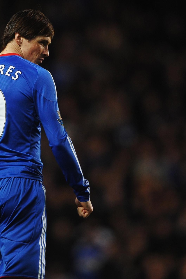 Спина Фернандо Торреса