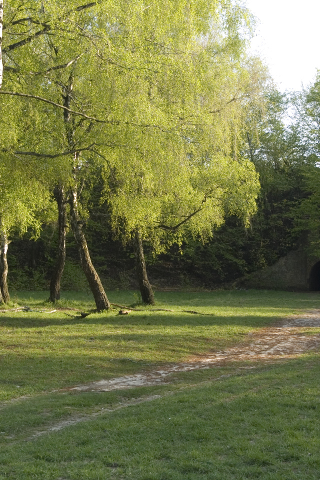 Лысая гора в Киеве