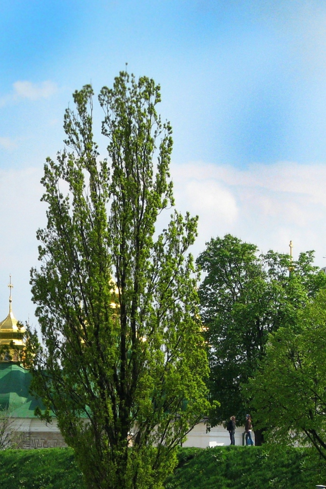 Красивые Соборы Киева