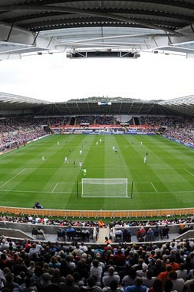 Возлюбленный Футбольный клуб Англии Суонси Сити