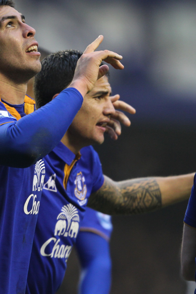 Возлюбленный Футбольный клуб Англии Эвертон