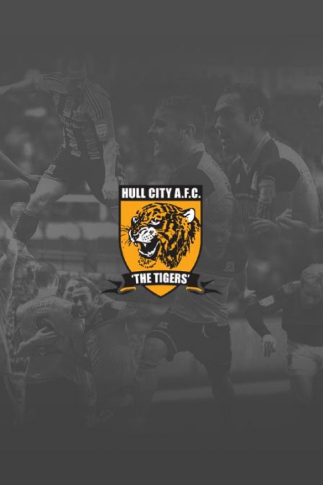 Возлюбленный ФК Англии Халл Сити