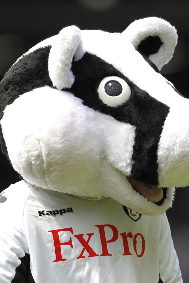 Лучший Футбольный клуб Фулхэм