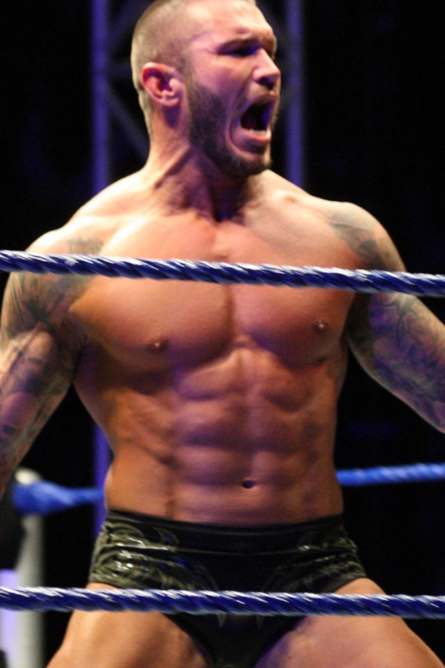 Боксер на арене