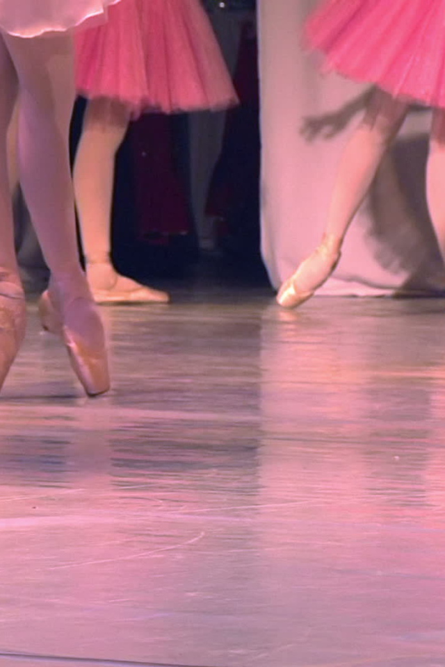 Ноги балерин
