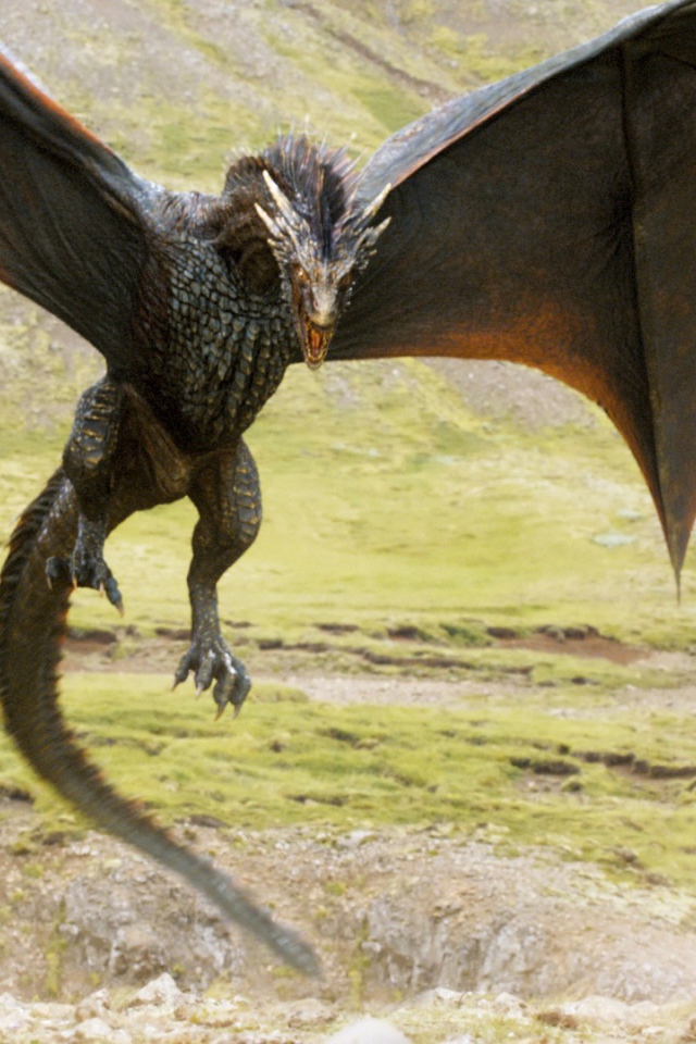 Дракон из сериала Игры престолов