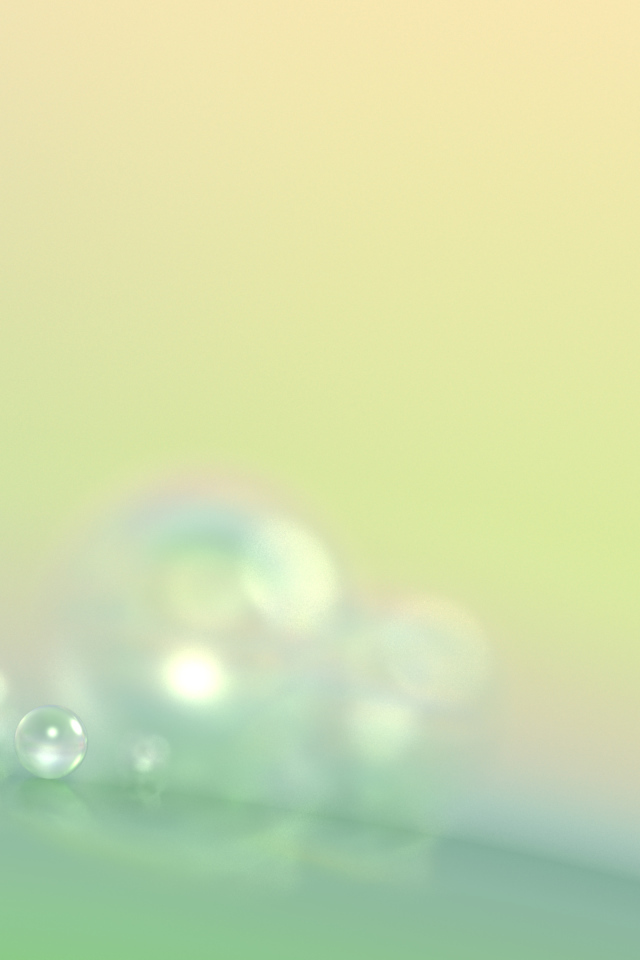 Капли утренней росы