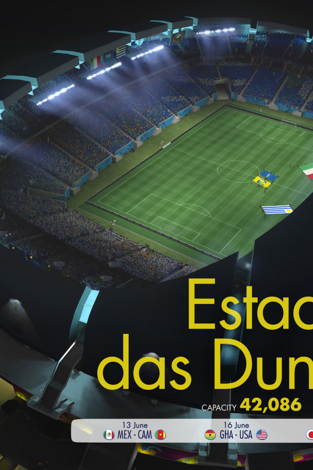 Стадион Дюна на Чемпионате мира по футболу в Бразилии 2014