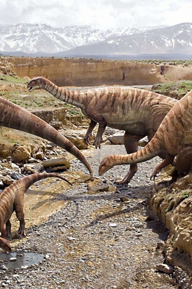Family of dinosaurs roam