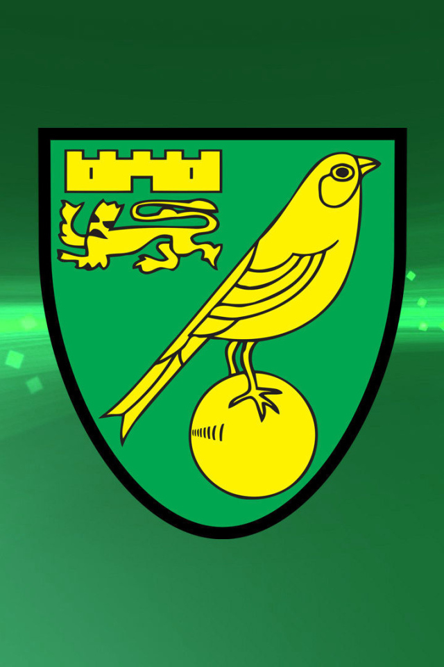 Известный Футбольный клуб Норвич