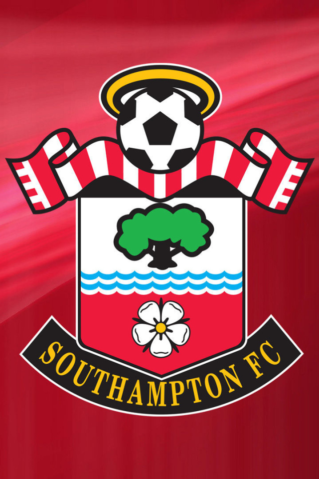 Знаменитый Футбольный клуб Саутгемптон