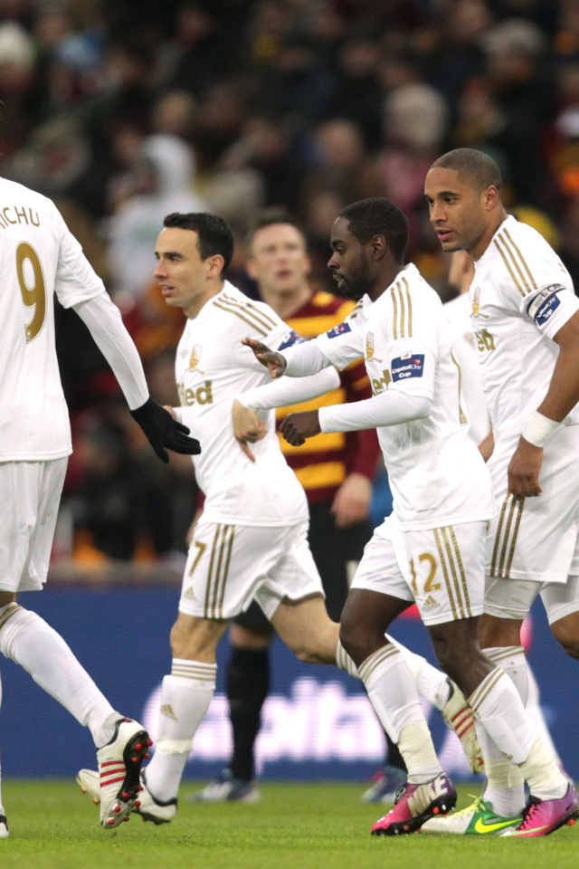 Известный Футбольный клуб Суонси Сити