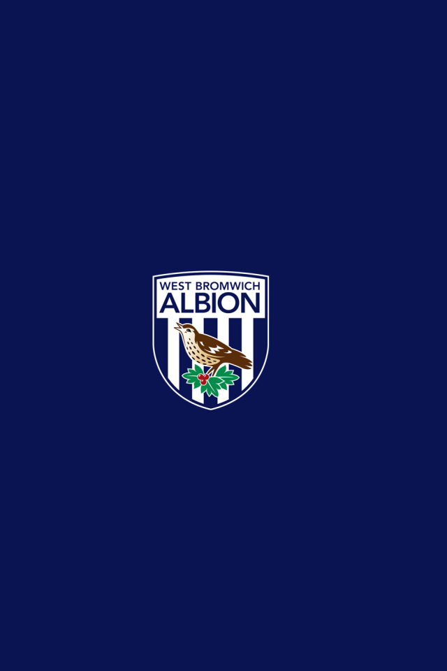 Famous Football club england West Bromwich Albion