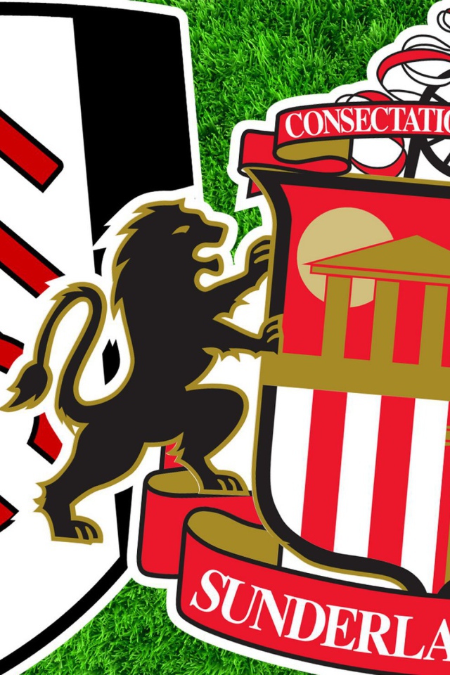 Футбольный клуб Фулхэм