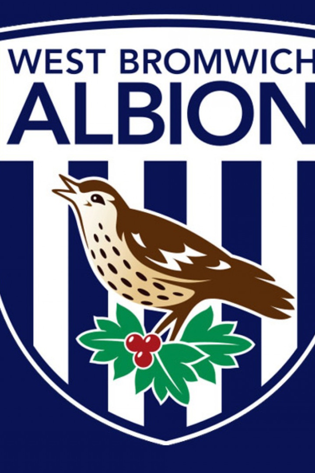 Футбольный клуб Англии Вест Бромвич Альбион