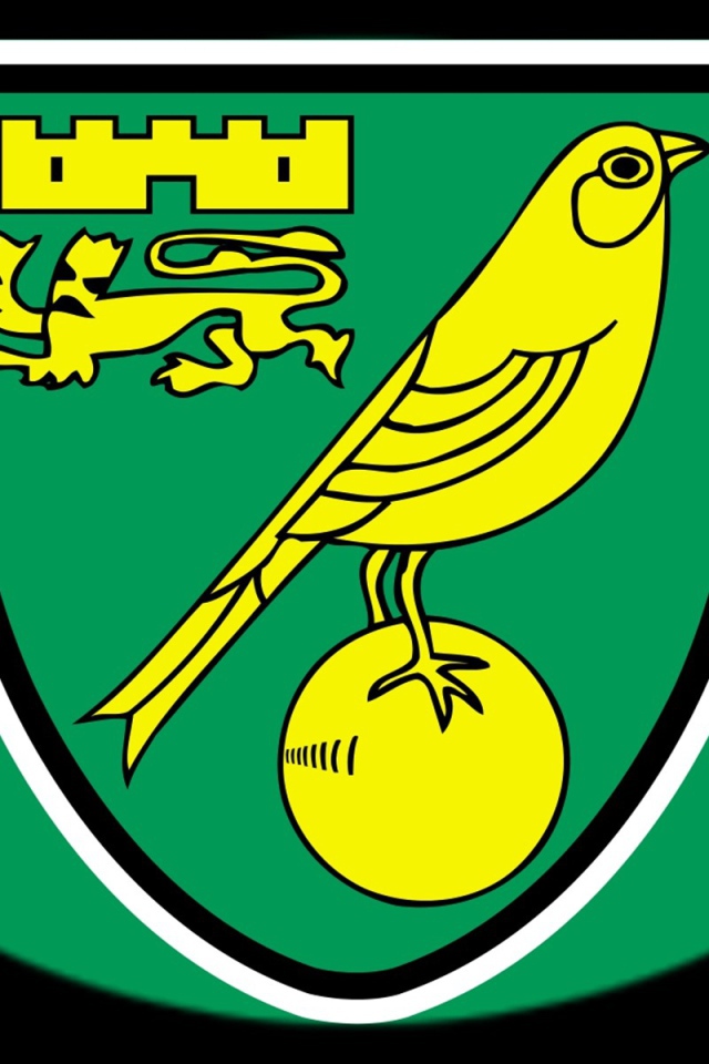 Футбольный клуб Англии Норвич