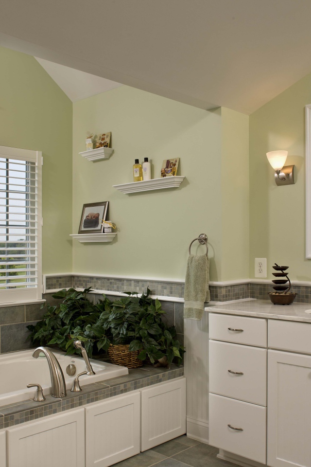 Зеленые растения в ванной комнате