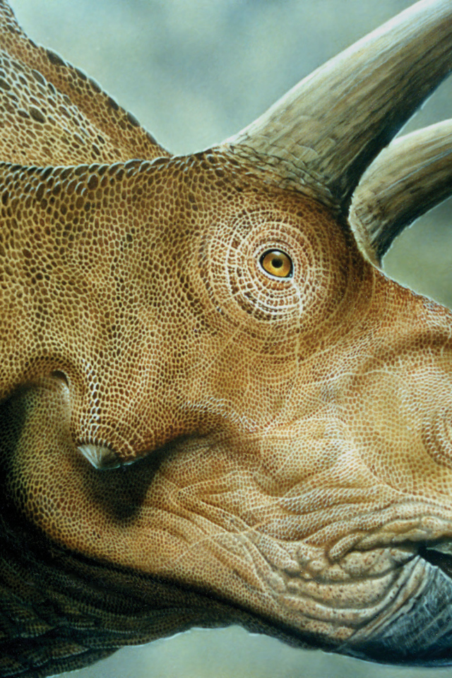 Рогатый динозавр