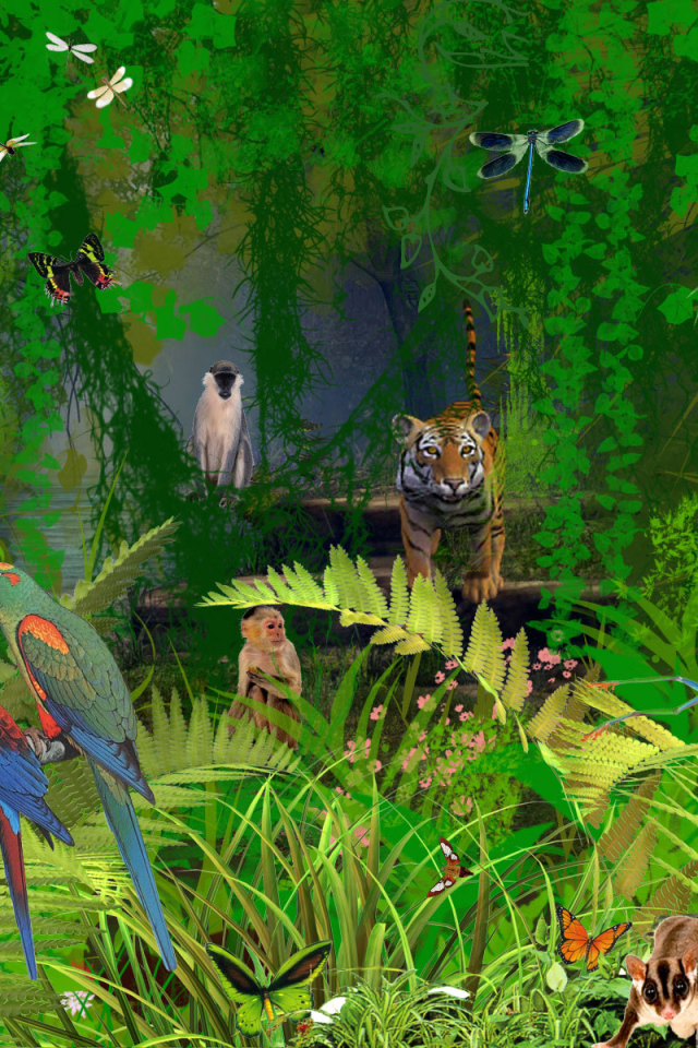 Джунгли животных в Коста-Рике