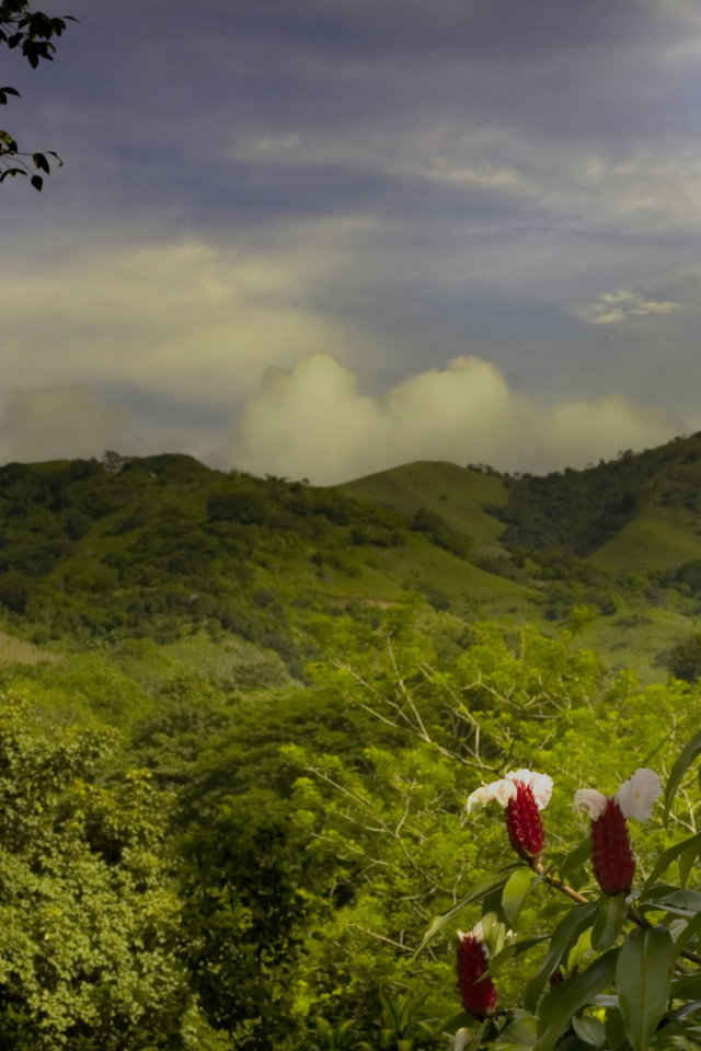 Пейзаж на Коста-Рика