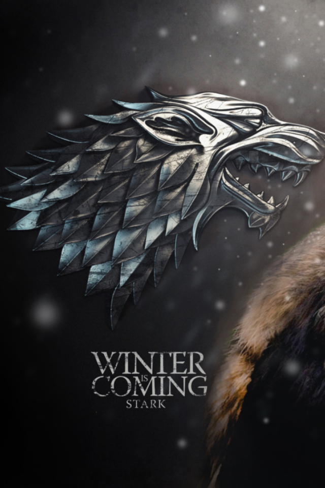 Лорд Старк в сериале Игры престолов