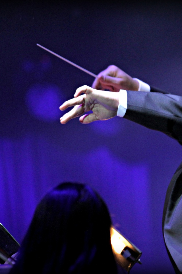 Композитор музыки в игре Fantasia music